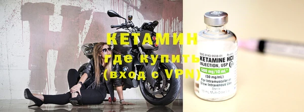 хмурый Ельня