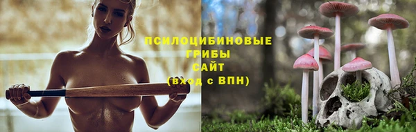 гашик Елабуга