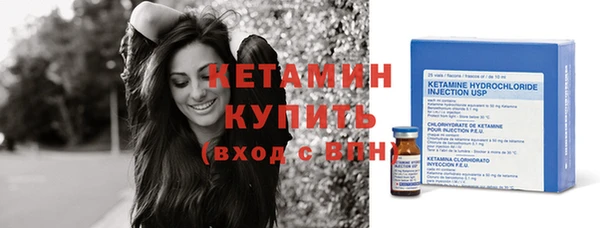 хмурый Ельня