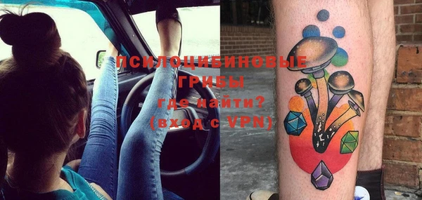 не бодяженный Дмитриев