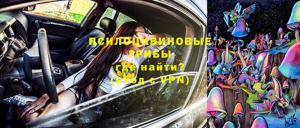 PSILOCYBIN Дмитровск
