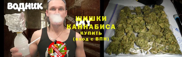 PSILOCYBIN Дмитровск